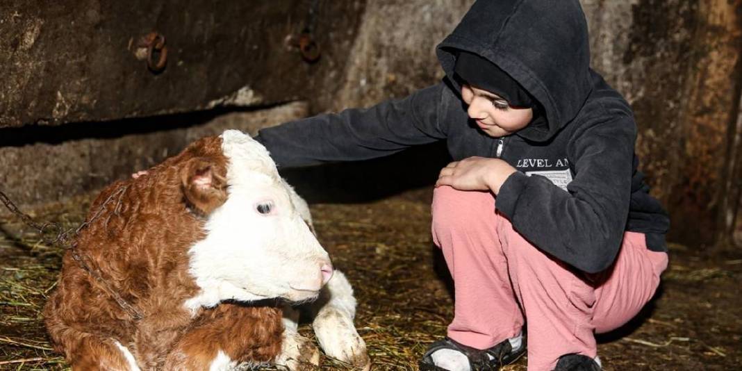 Dede mesleğine devlet desteği katkısı! İlkel yöntemi bıraktı modernliği getirdi: Bir aile el birliğiyle işi büyüttü 10